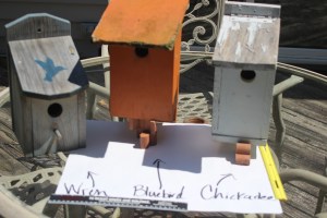 Three birdhouses