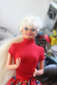 Barbie, post surgery