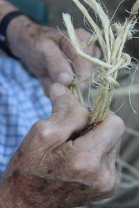 Daddy's amazing hands