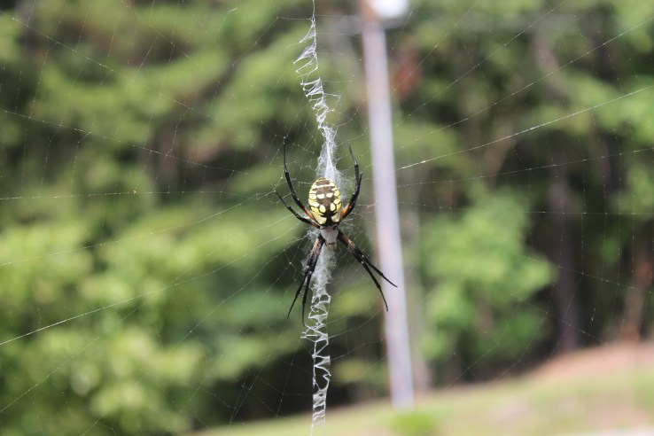 My neighbors' friend writing them a message.