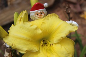 Featured Image -- 640