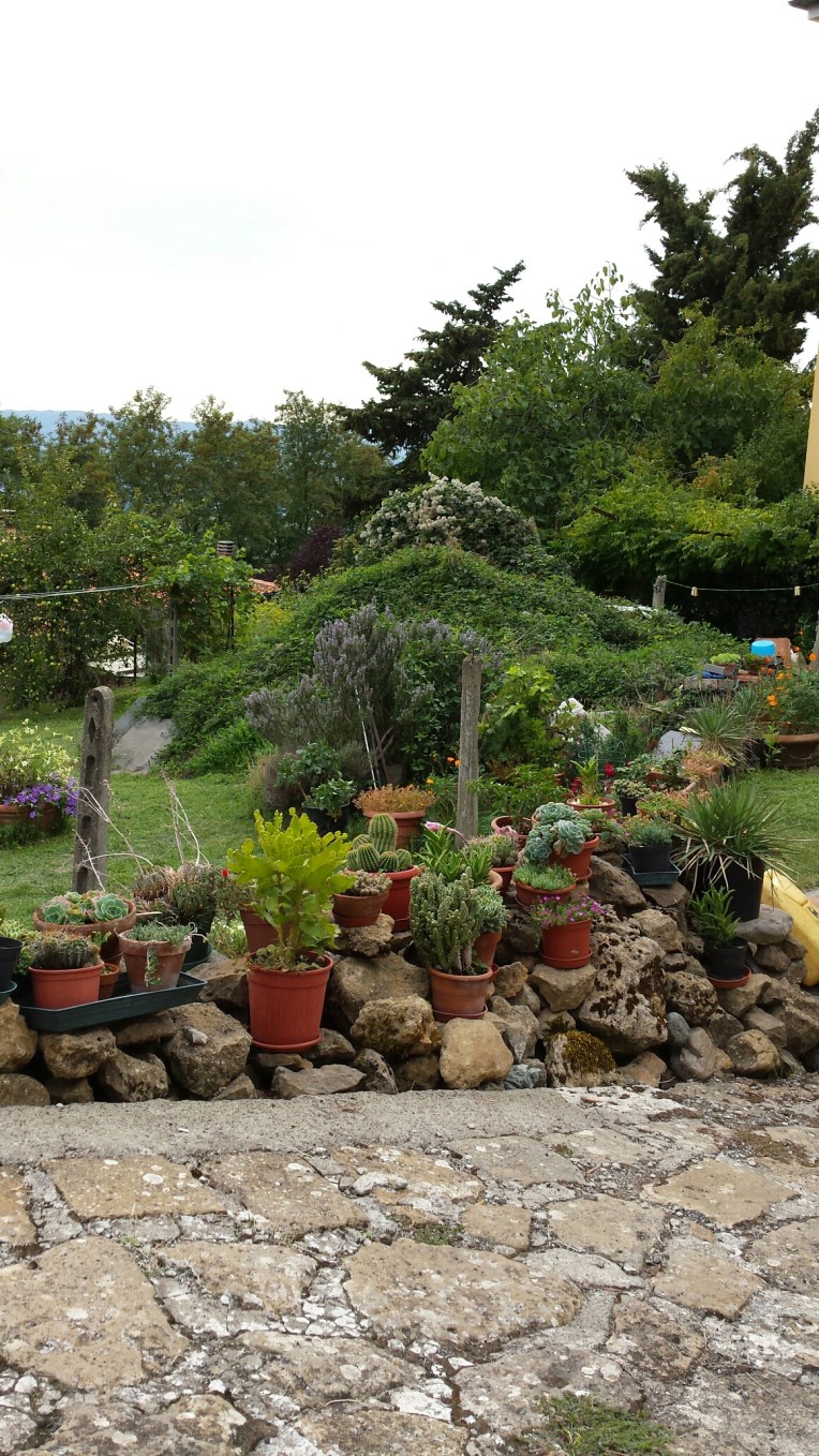 20150928_153830.jpg image