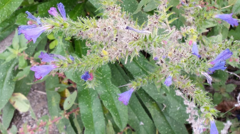 20150928_154822.jpg image