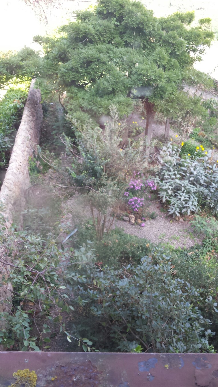 20150929_130130.jpg image