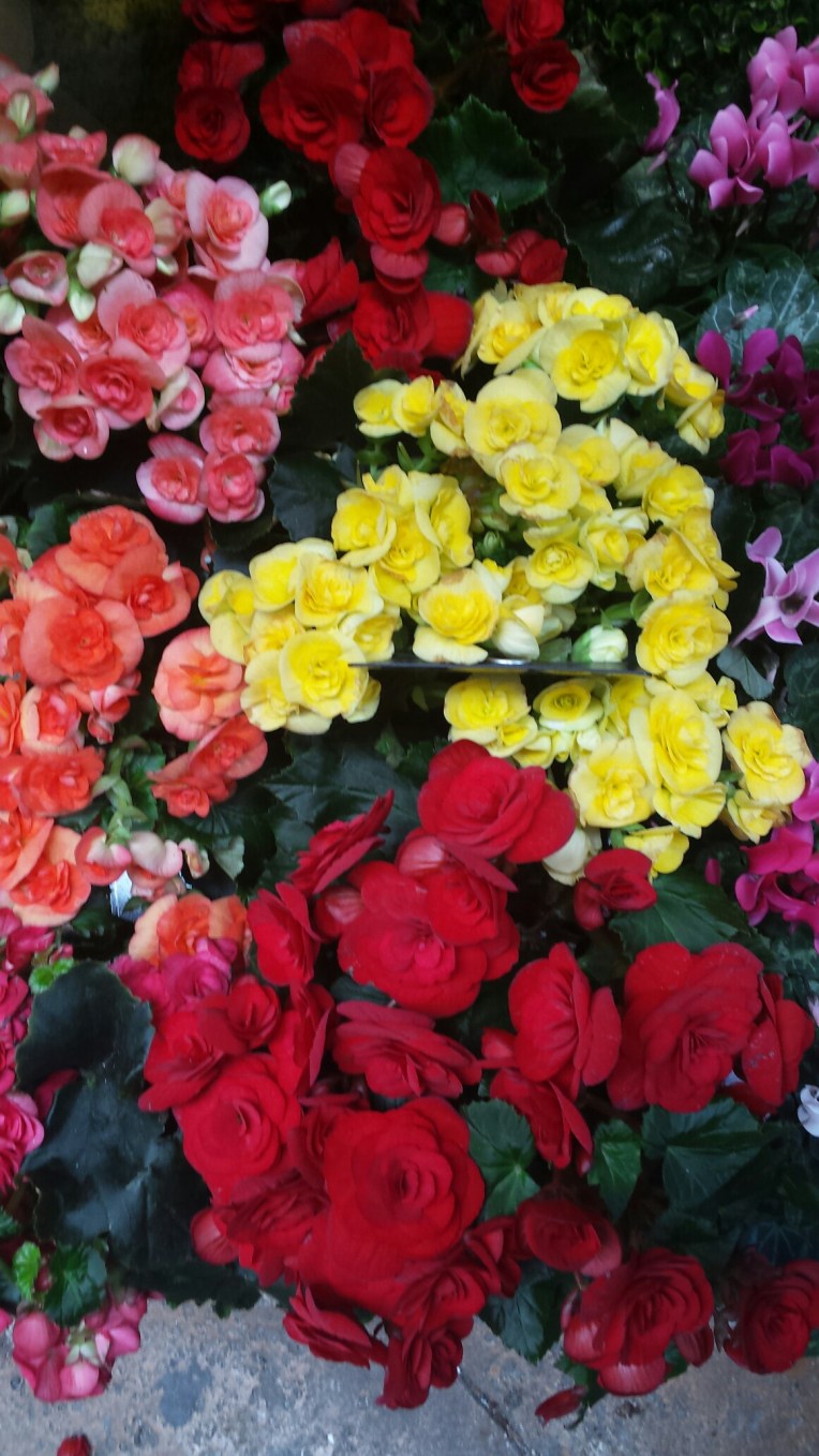 20150930_123903.jpg image