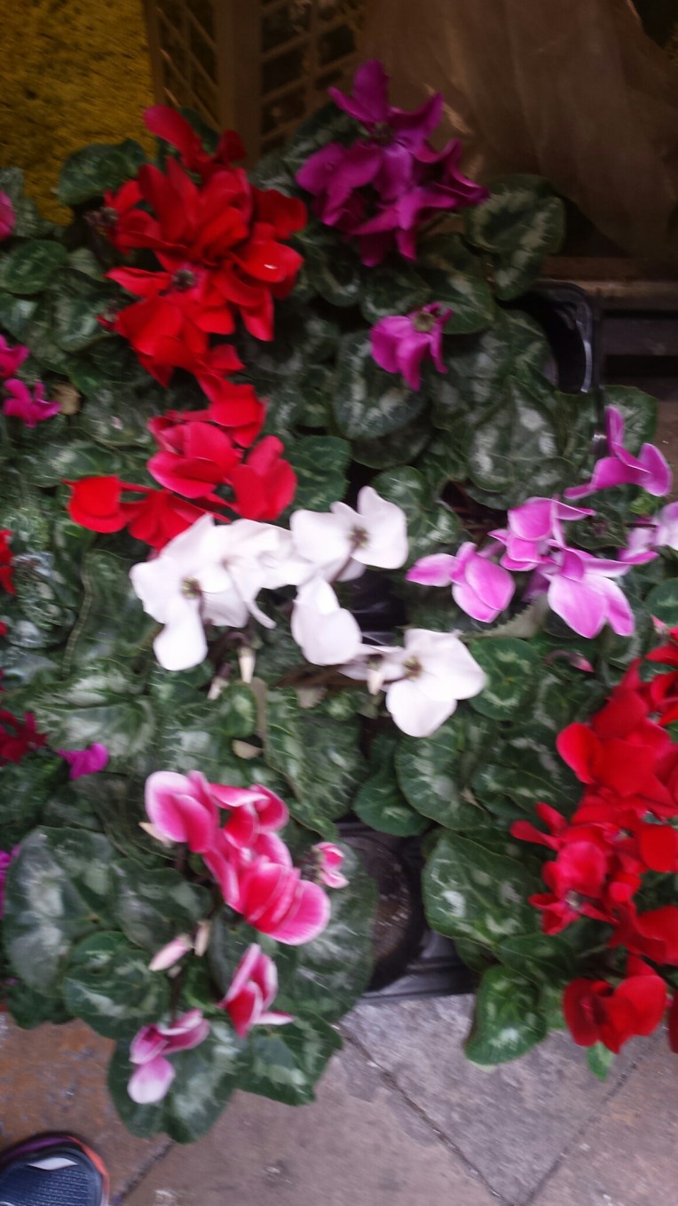 20150930_123910.jpg image