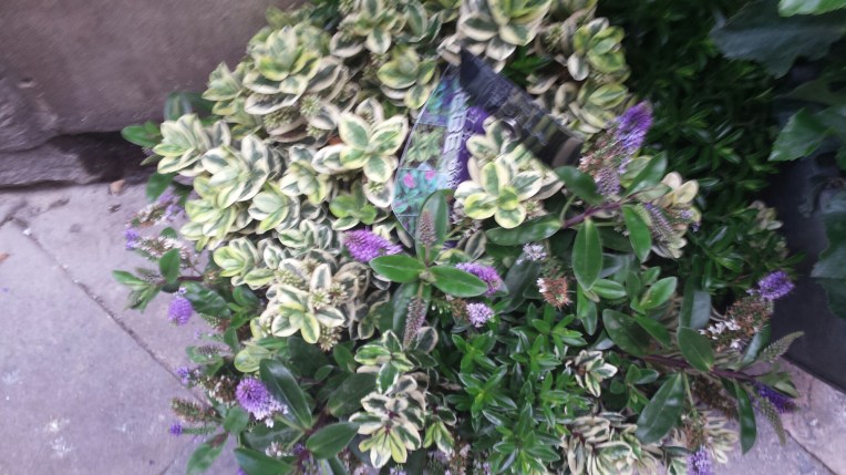 20150930_123948.jpg image