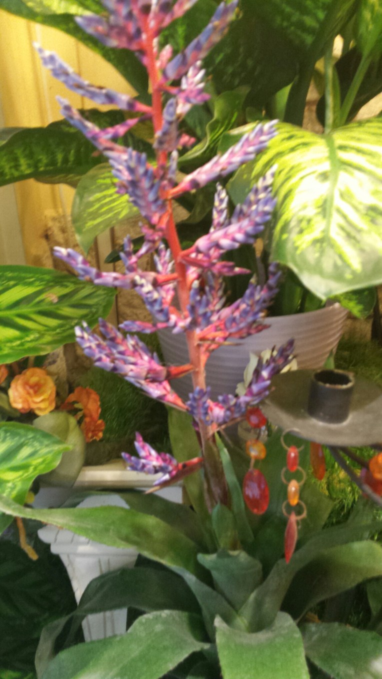 20150930_124125.jpg image