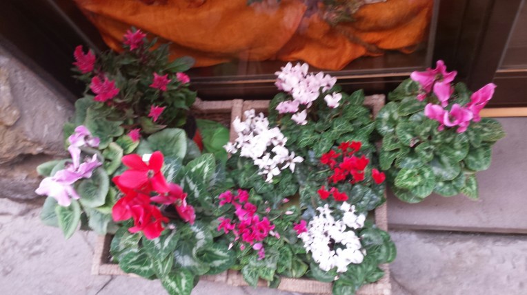 20150930_131345.jpg image