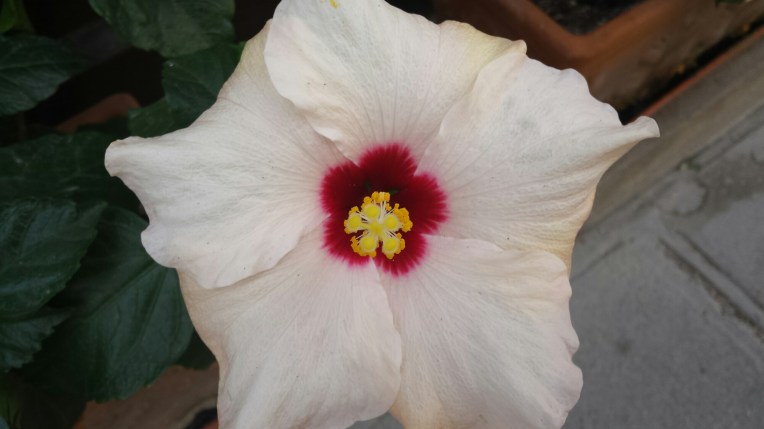 20150930_133626.jpg image