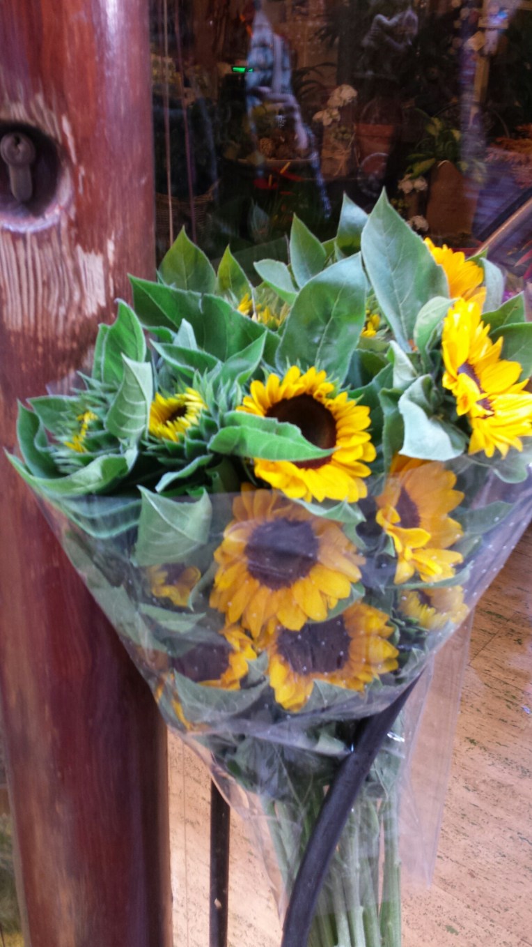 20150930_144706.jpg image