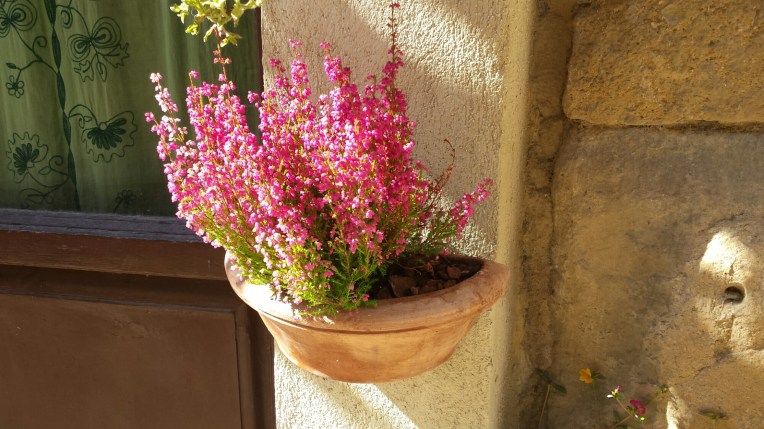 20150930_145243.jpg image