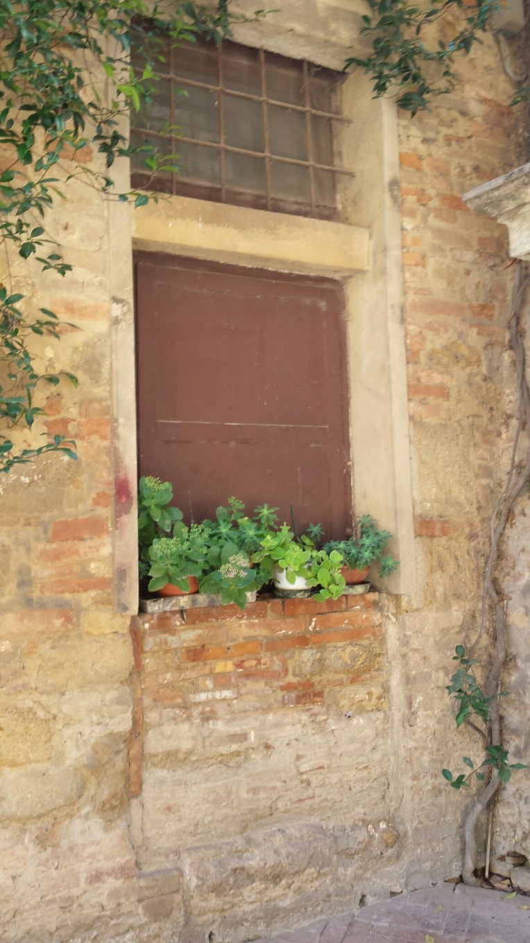 20150930_145317.jpg image