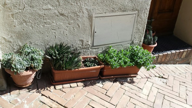 20150930_145402.jpg image