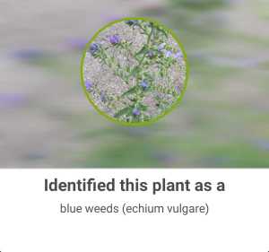 ATT_1443620851753_1443448544825