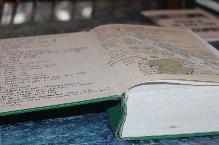 Manual of Vascular Flora of the Carolinas