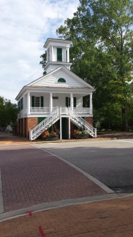 rabbits,Cheraw, Portland, Blog 1139