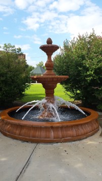 rabbits,Cheraw, Portland, Blog 1140