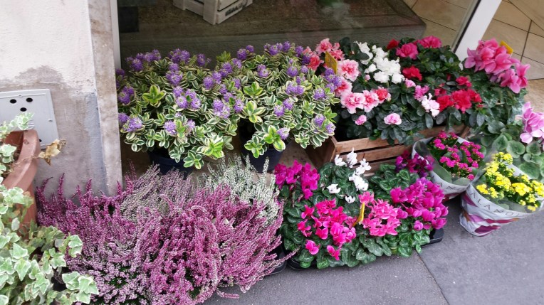 20151002_121747.jpg image