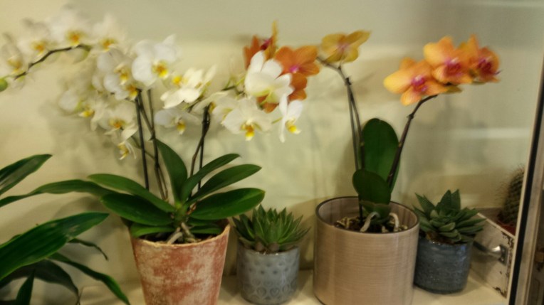 20151002_121957.jpg image