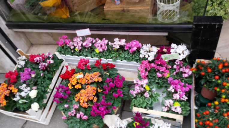 20151003_092843.jpg image