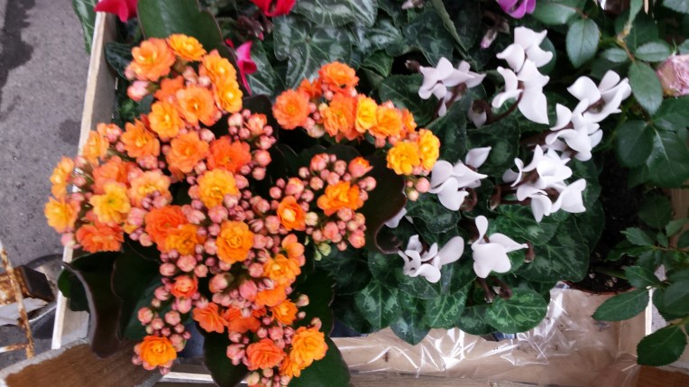 20151003_092850.jpg image