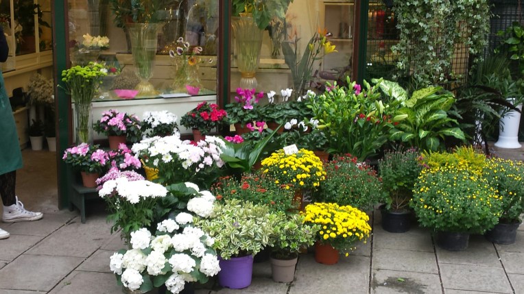 20151003_123028.jpg image