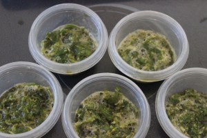 Two tablespoon portions.