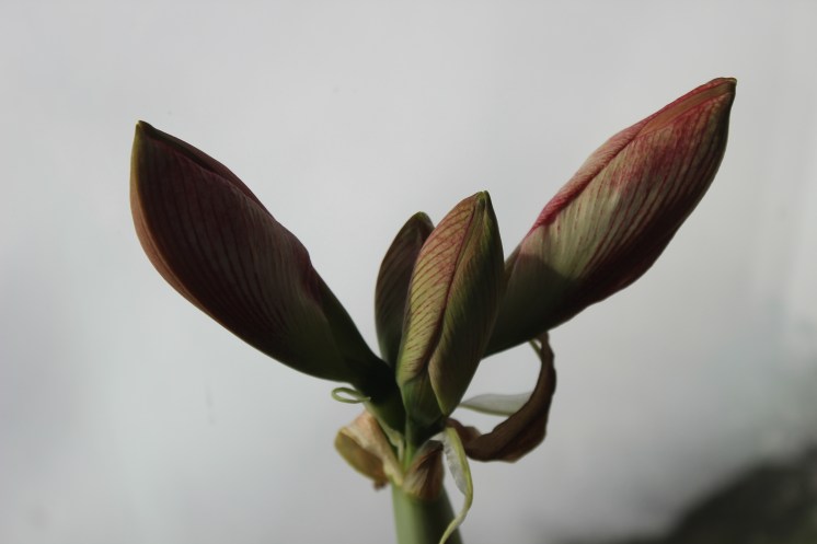 Featured Image -- 2016