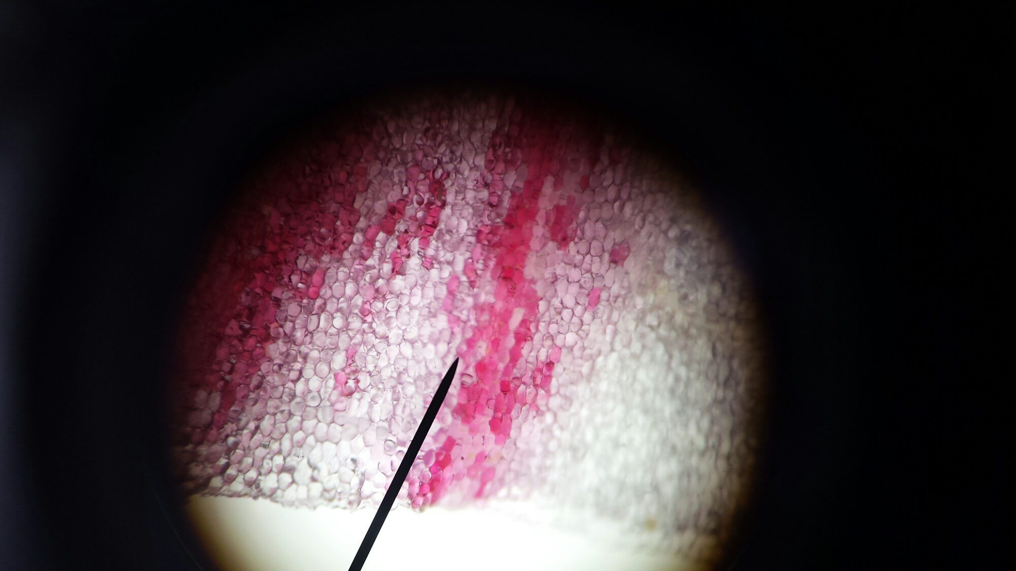 20160206_115439.jpg image