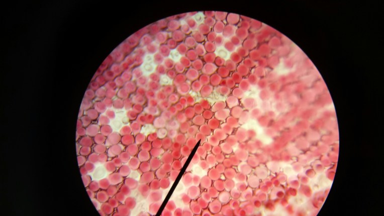 20160206_115718.jpg image