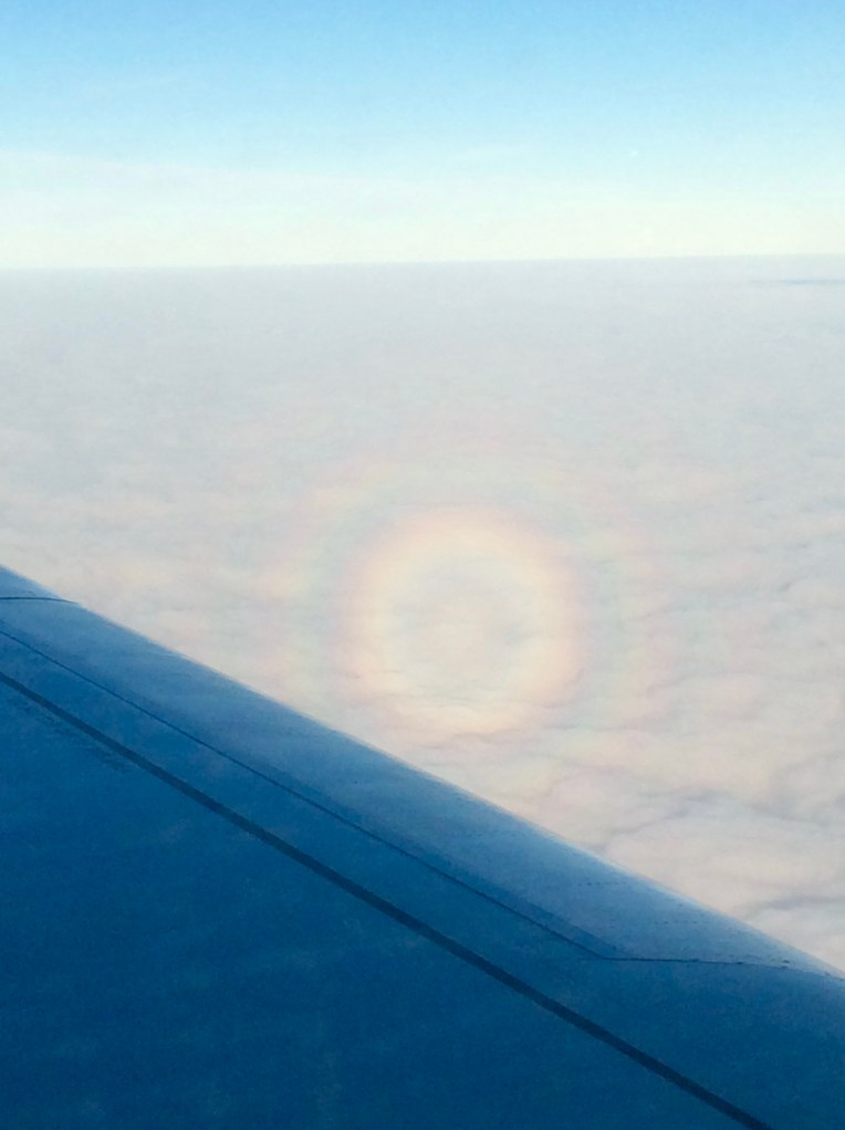 What is called a "glory" - an optical phenomenon where light is refracted through drops of water.
