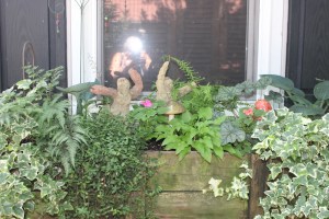 IMG_1015
