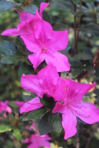 img_5146