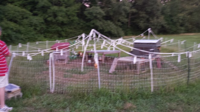 rabbitscheraw-portland-blog-291